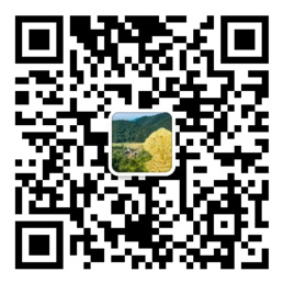 神彩争霸8app